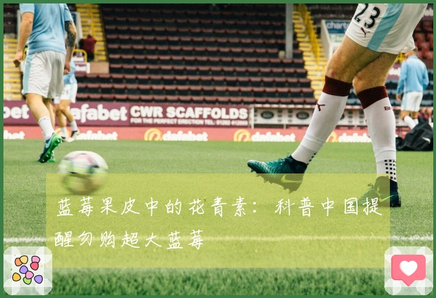 蓝莓果皮中的花青素：科普中国提醒勿购超大蓝莓