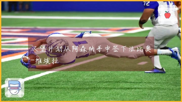 汉堡计划从阿森纳手中签下法比奥-维埃拉