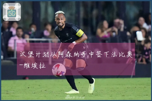 汉堡计划从阿森纳手中签下法比奥-维埃拉