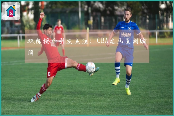 双陈擦血引发关注：CBA名画复刻瞬间